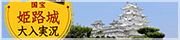 国宝姫路城大入実況